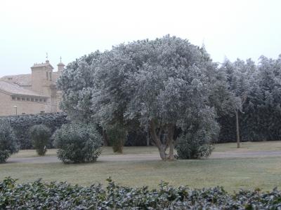 DE VUELTA DE ZARAGOZA