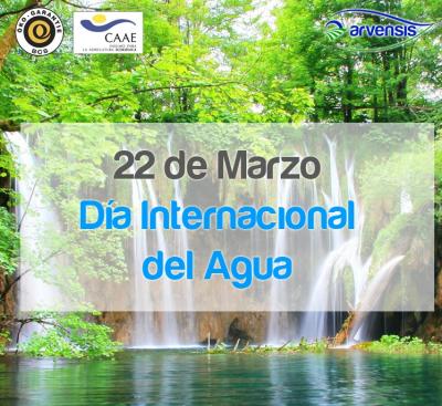 UN MES DE MARZO LLENO DE DÍAS INTERNACIONALES